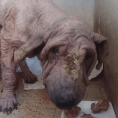 26857319_1674545619261631_1550611353_n